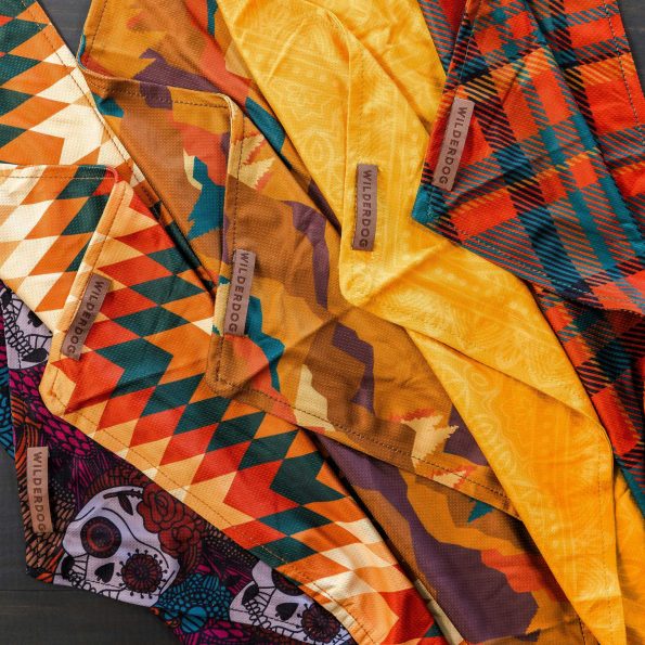 BAND-FALL-all_208afe19-f630-4a14-9564-ff9e0de0a0c5