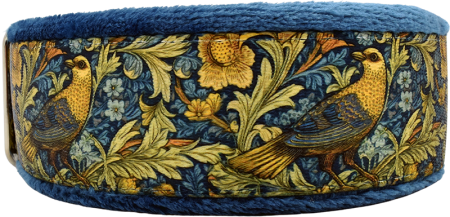 1.5" Flight of Fancy Everyday Limited Slip Collar
