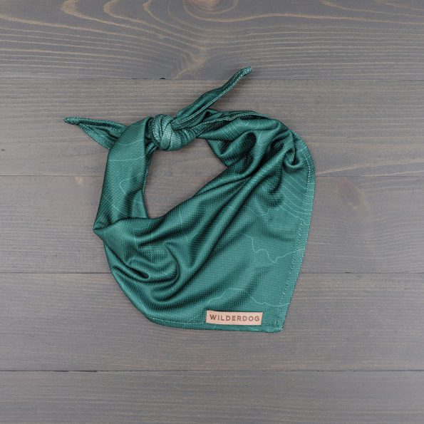 band-green