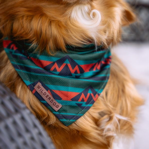bandana4