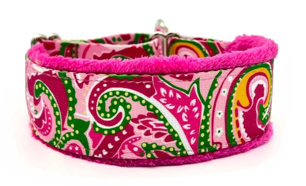 pinkpaisley1.5collarfront1600